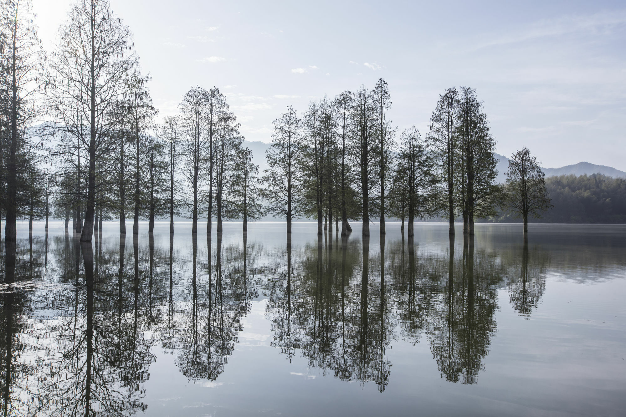 Banyan Tree Hotel Huangshan-The Ancient Charm Of Huizhou, A Paradise Экстерьер фото